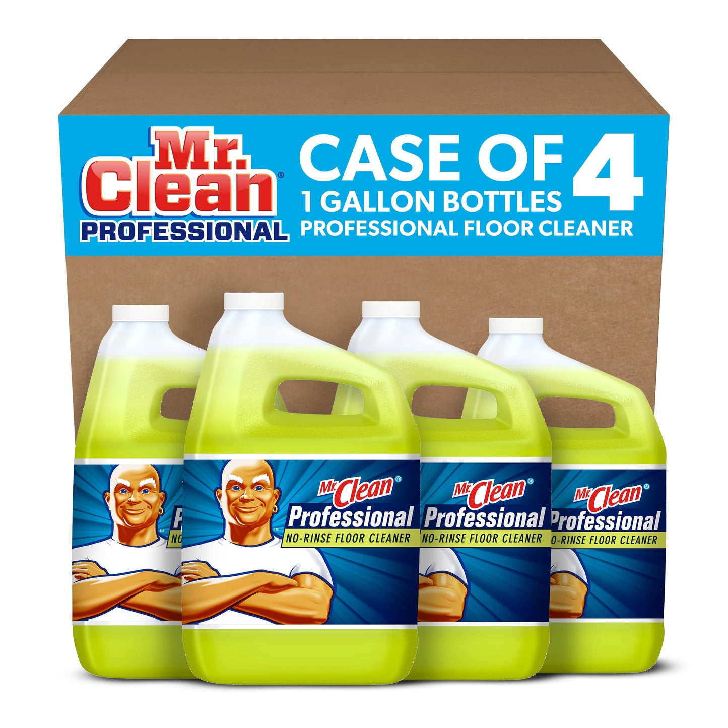Floor Cleaner Professional Concentrate 1 Gallon