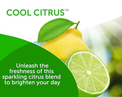 Solid Air Freshener Odor Eliminator 14oz 6 Pack