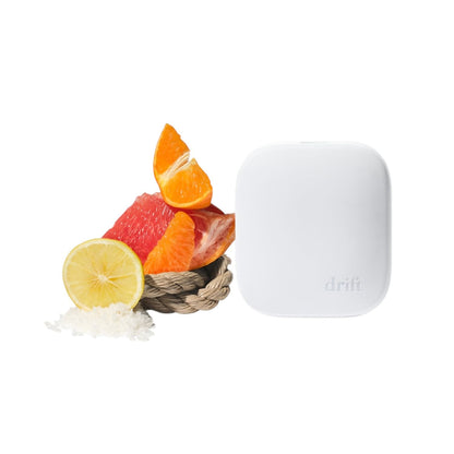 Home Scent Diffuser Reed Stick Air Freshener Kit