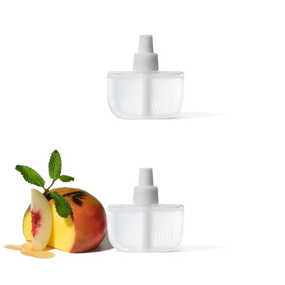 Home Scent Diffuser Reed Stick Air Freshener Kit