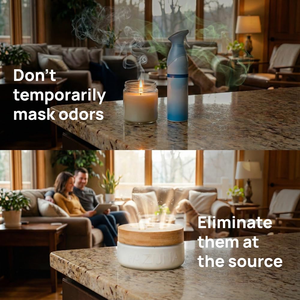 Air Freshener Odor Eliminator Gel Room Kit Home