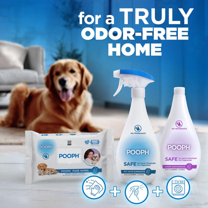 Odor Eliminator Laundry Additive Pet Stain Deodorizer Clean