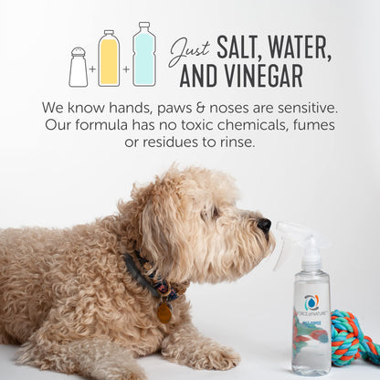 Multi Purpose Sanitizer Disinfectant Cleaner EPA Registered