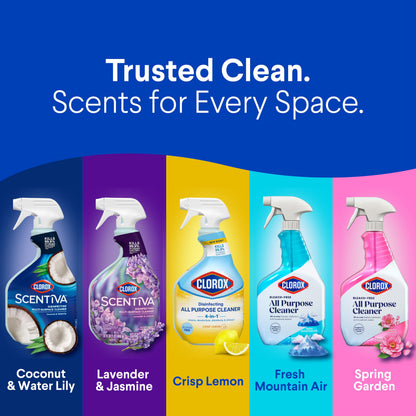 Disinfecting Cleaning Agent Bleach Cleaner Spray