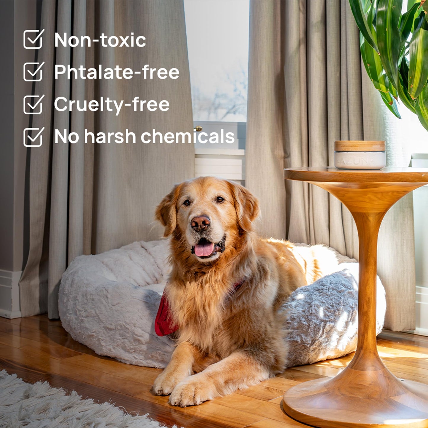 Air Freshener Odor Eliminator Gel Room Kit Home