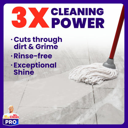Floor Cleaner Professional Concentrate 1 Gallon