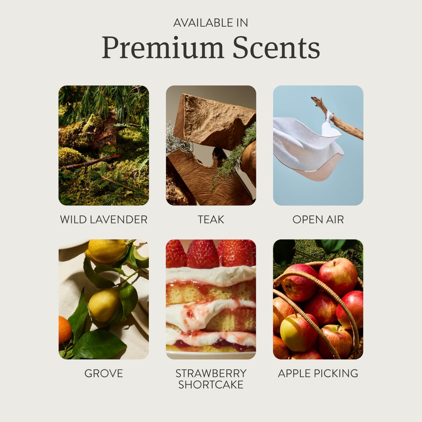 Home Scent Diffuser Reed Stick Air Freshener Kit