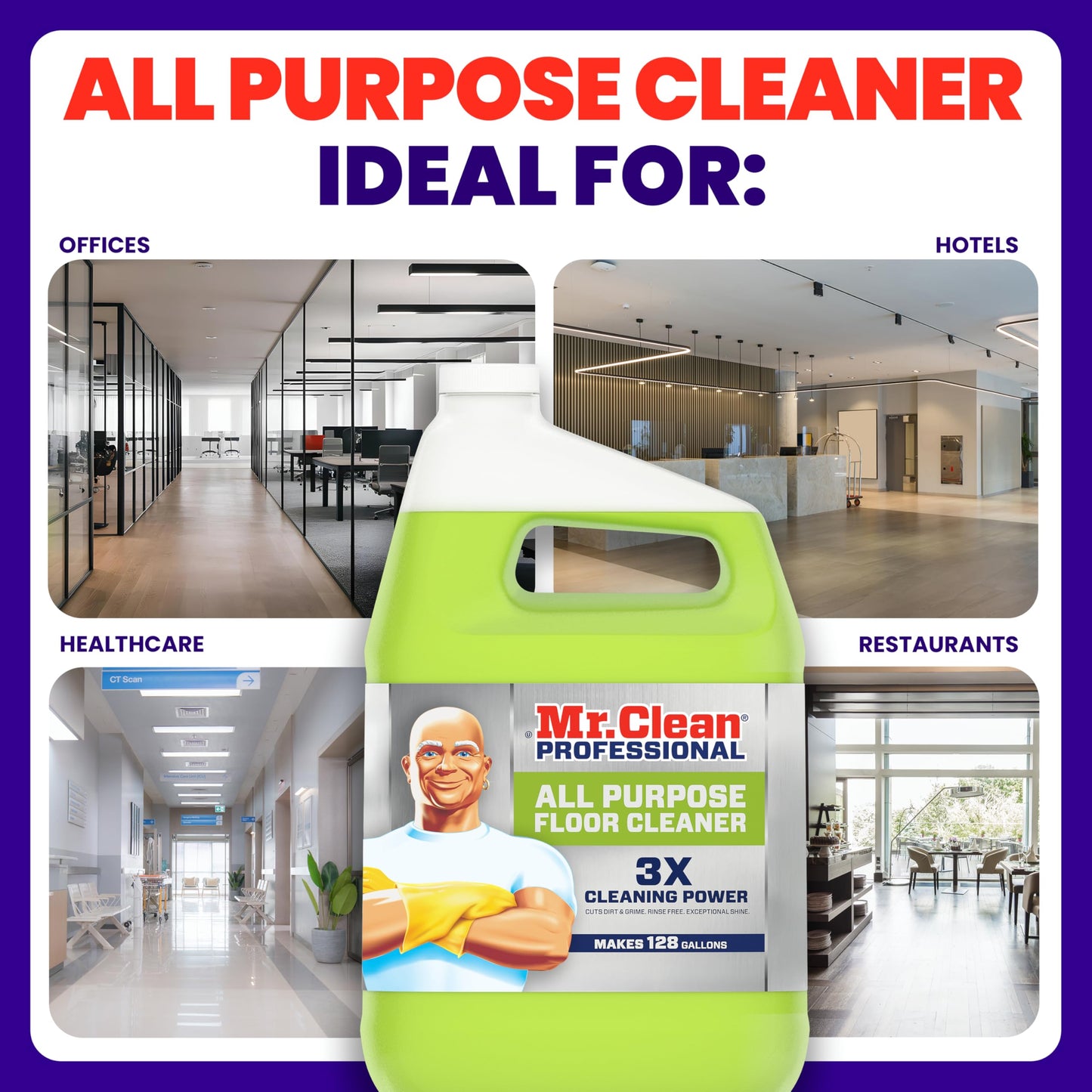 Floor Cleaner Professional Concentrate 1 Gallon