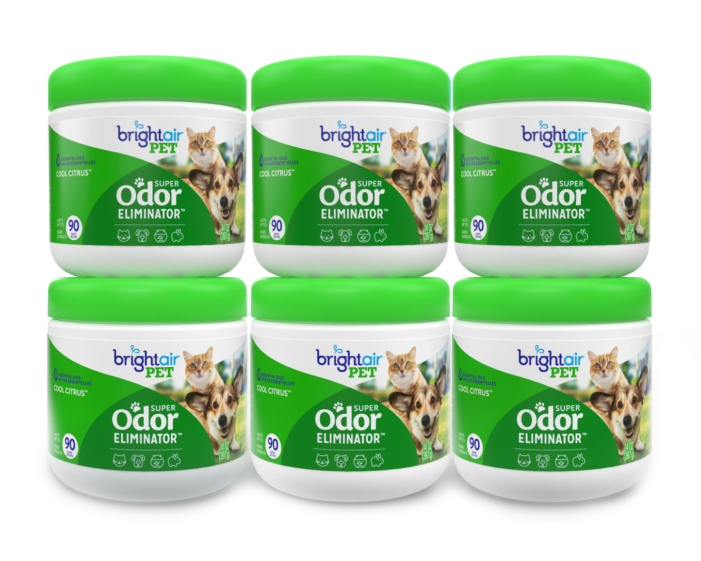 Solid Air Freshener Odor Eliminator 14oz 6 Pack